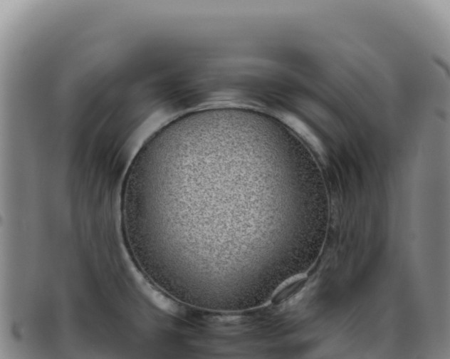 X0000096481431200801311546