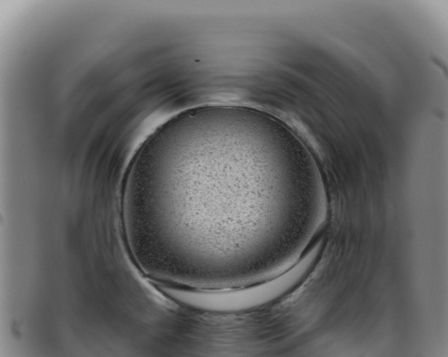 X0000096481432200801311546