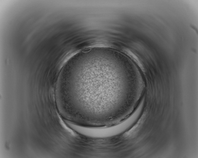 X0000096481433200801311546