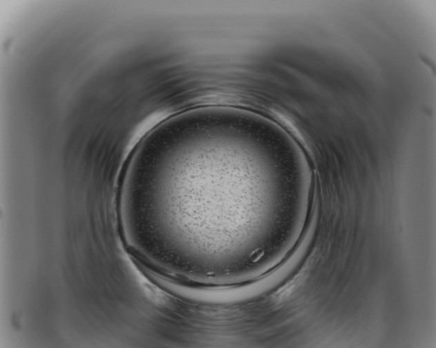 X0000096481434200801311546