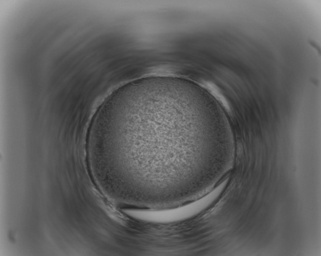 X0000096481435200801311546