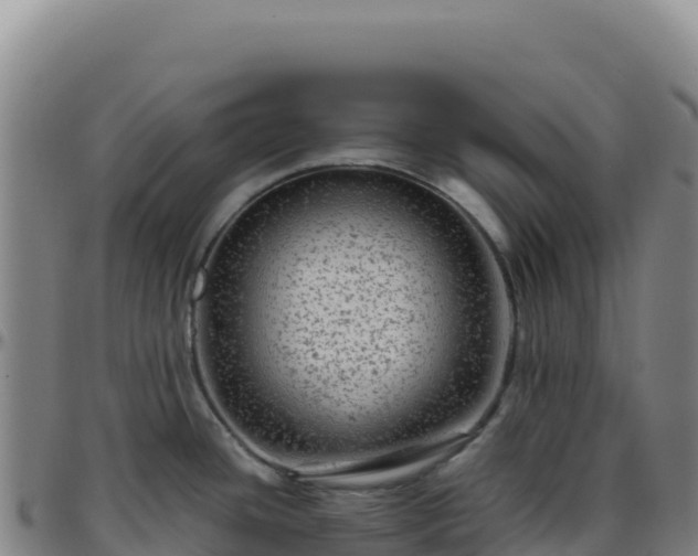 X0000096481436200801311546