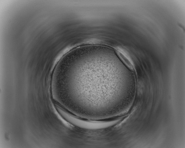 X0000096481437200801311546