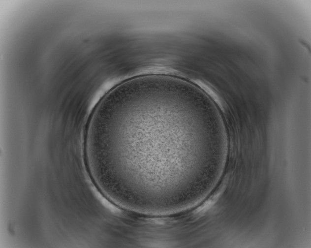 X0000096481438200801311546