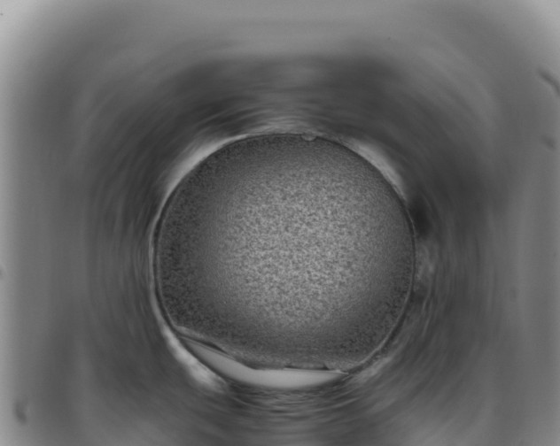 X0000096481439200801311546