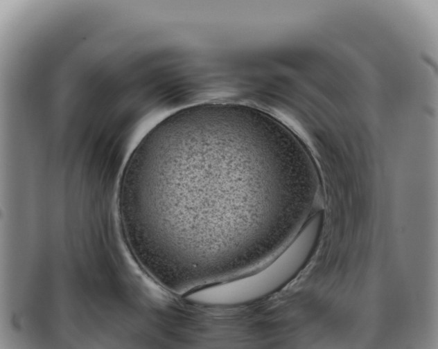 X0000096481440200801311546