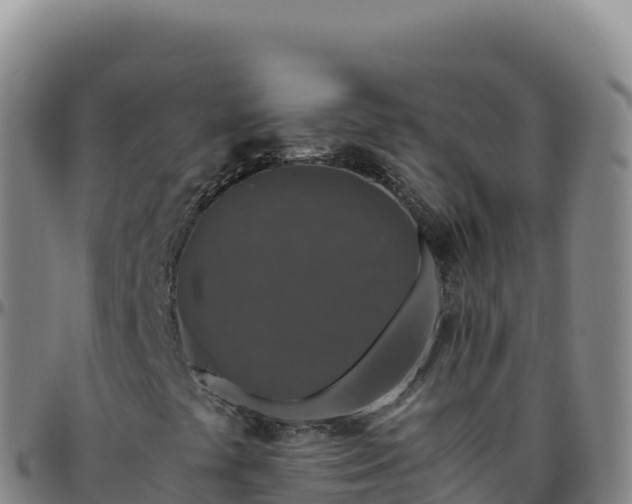 X0000096481441200801311546