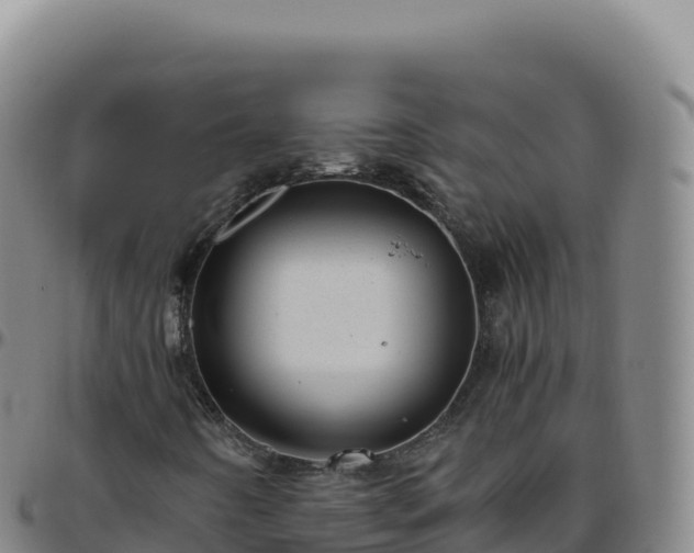 X0000096481442200801311546