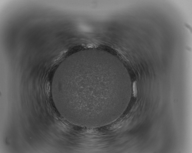 X0000096481443200801311546