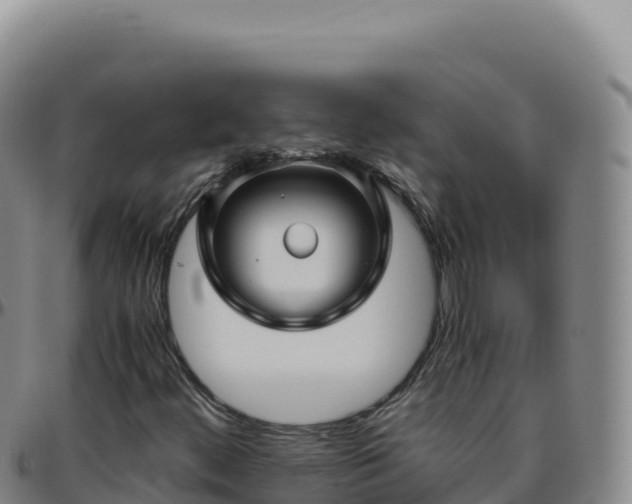 X0000096481444200801311546