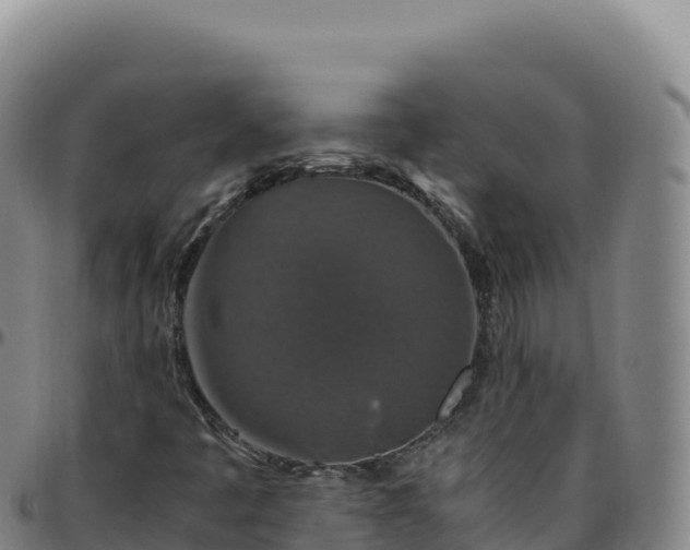 X0000096481445200801311546