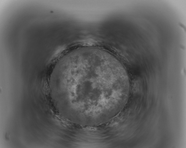 X0000096481446200801311546