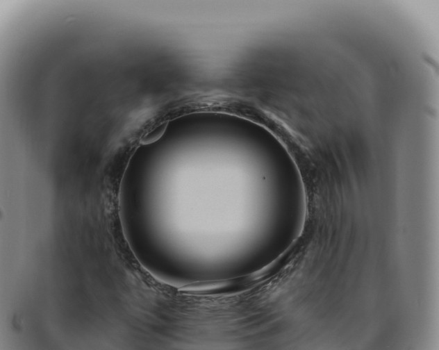 X0000096481447200801311546