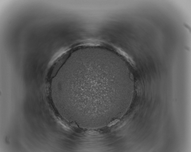 X0000096481448200801311546