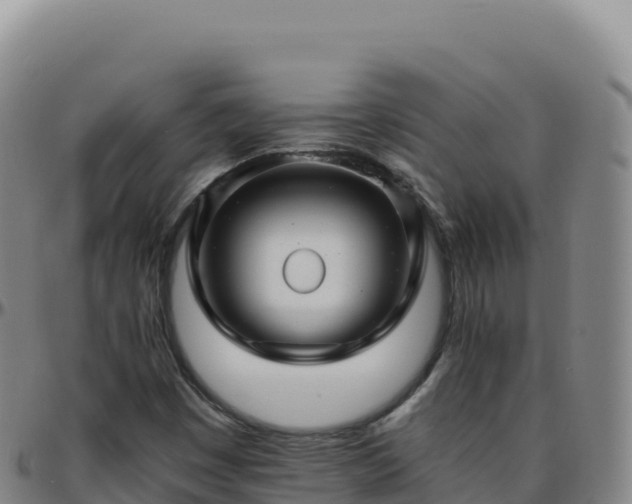 X0000096481449200801311546