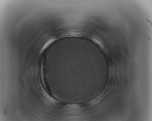 X0000096481450200801311546