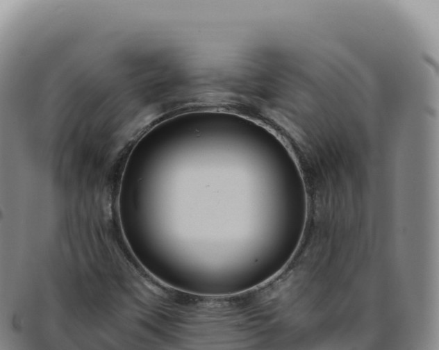 X0000096481451200801311546