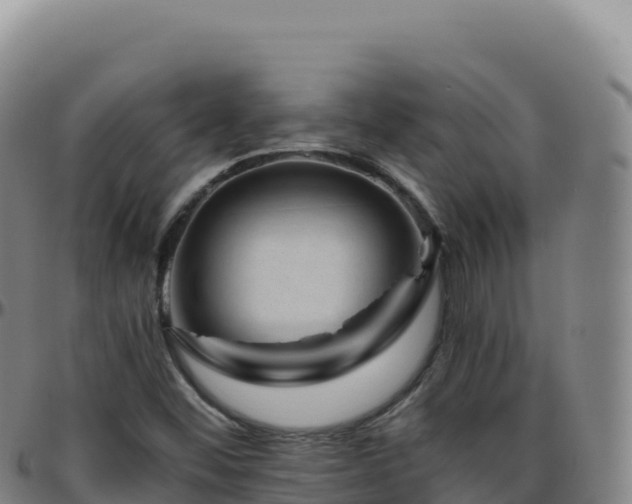 X0000096481452200801311546