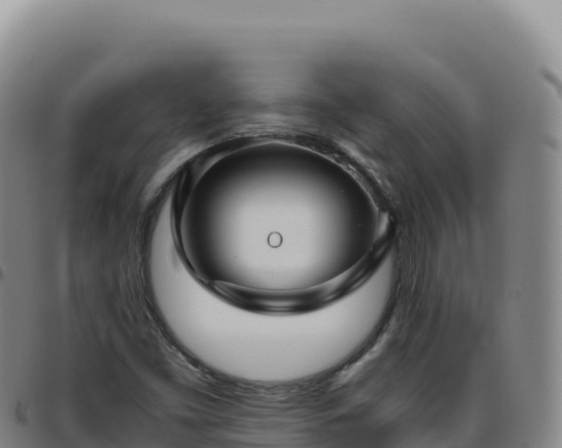 X0000096481453200801311546