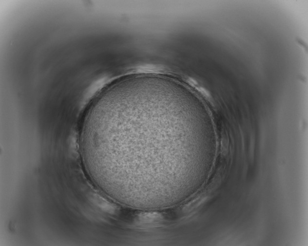 X0000096481454200801311546