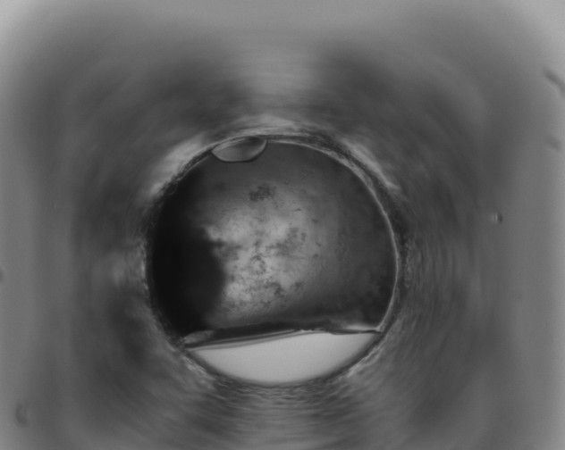 X0000096481455200801311546