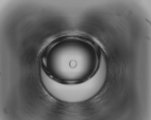 X0000096481456200801311546