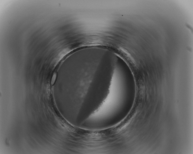 X0000096481457200801311546