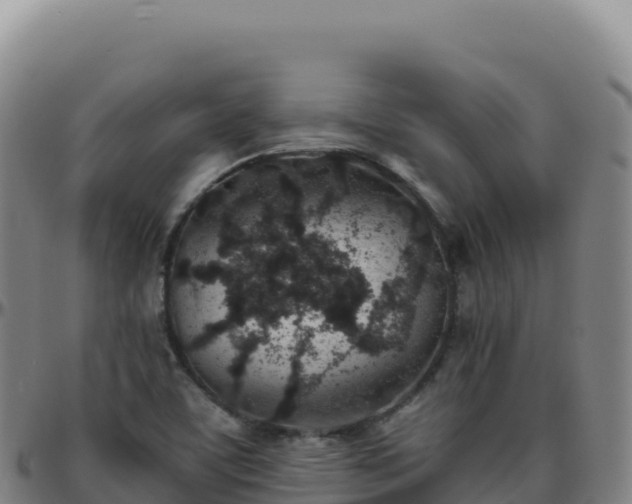 X0000096481459200801311546