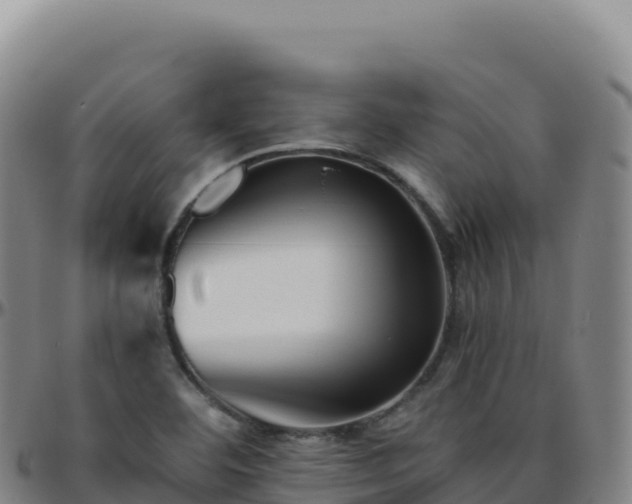 X0000096481460200801311546