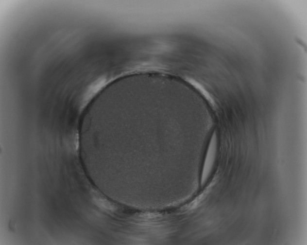 X0000096481461200801311546