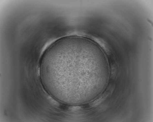 X0000096481462200801311546