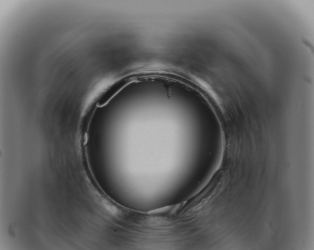 X0000096481464200801311545