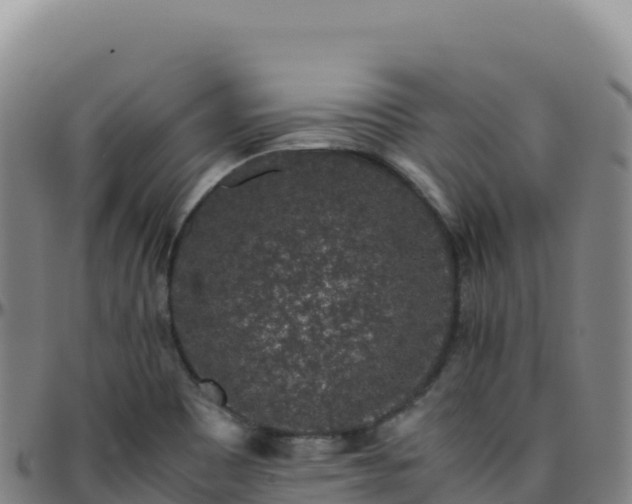 X0000096481465200801311545