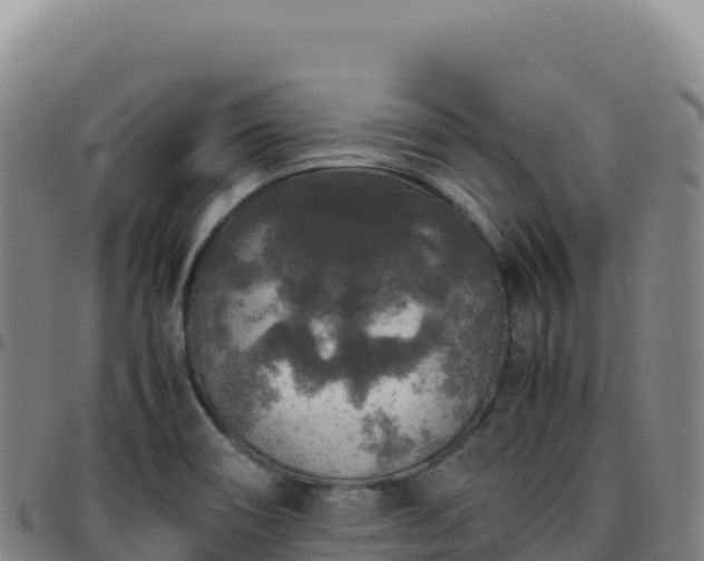 X0000096481466200801311545