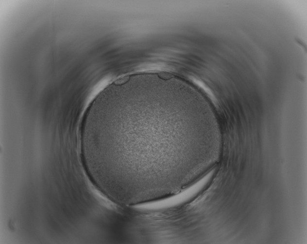 X0000096481467200801311545