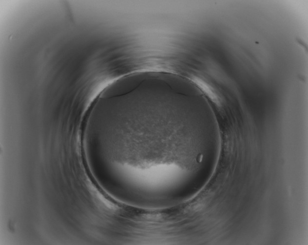 X0000096481468200801311545