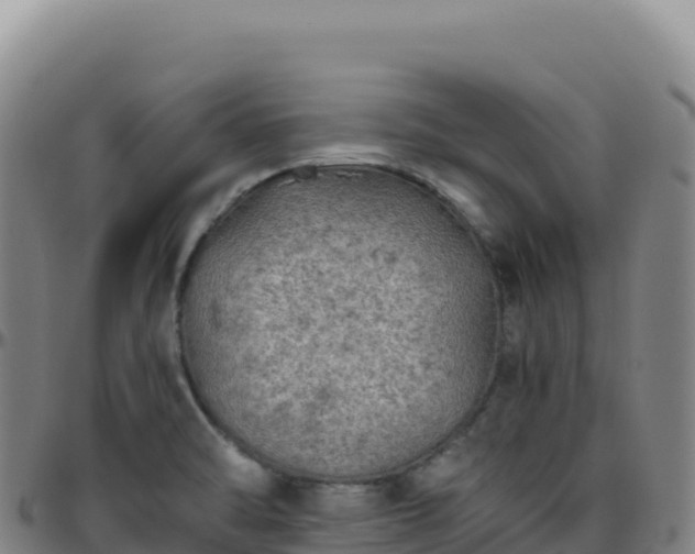 X0000096481470200801311545