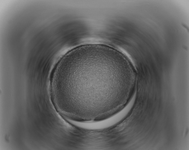 X0000096481472200801311545