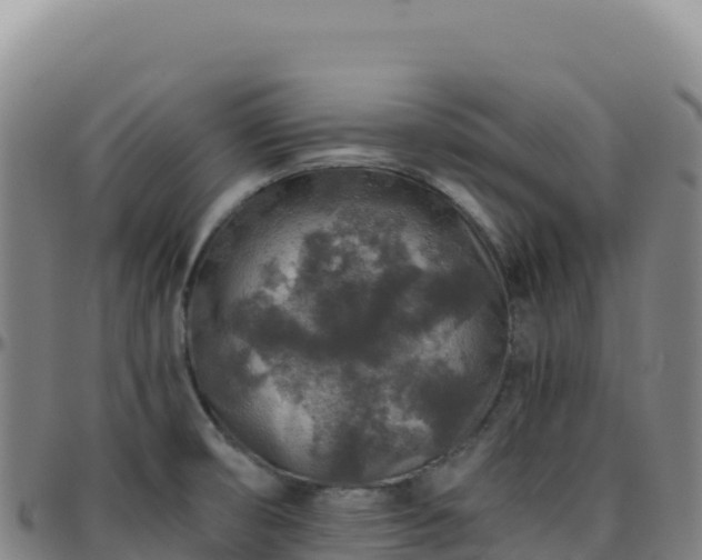 X0000096481474200801311545