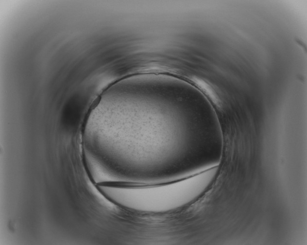 X0000096481476200801311545