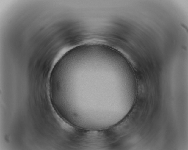 X0000096481478200801311545