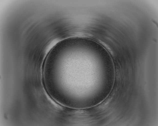 X0000096481479200801311545