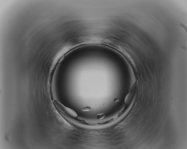 X0000096481480200801311545