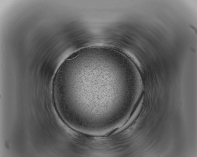 X0000096481483200801311545