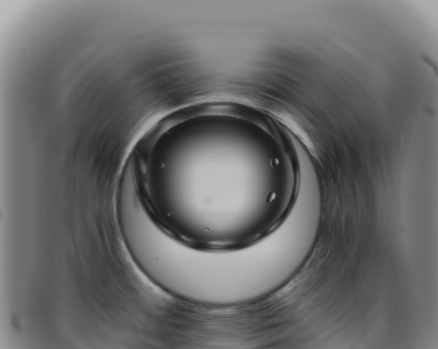 X0000096481484200801311545