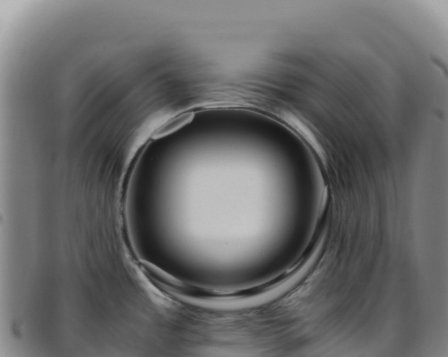 X0000096481485200801311545