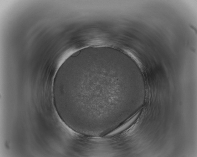 X0000096481487200801311545