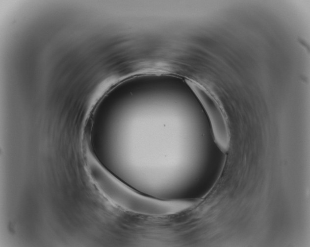 X0000096481488200801311545