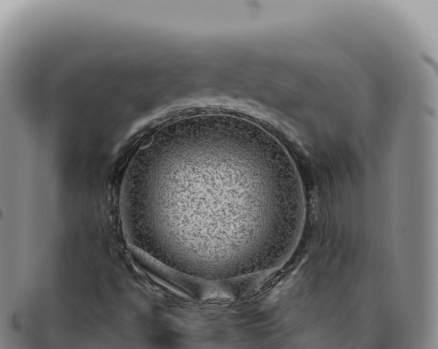 X0000096481494200801311544