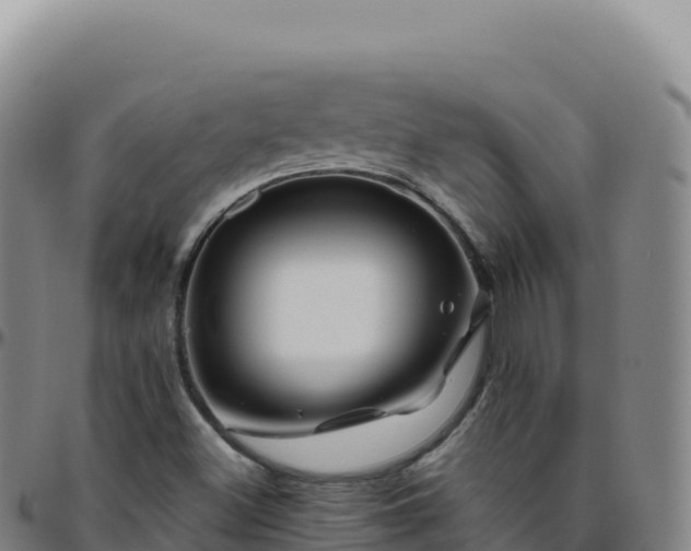 X0000096481500200801311544